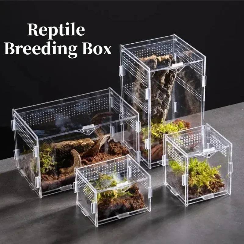 TaranTerra acrylic Small and Medium enclosures for growing tarantulas