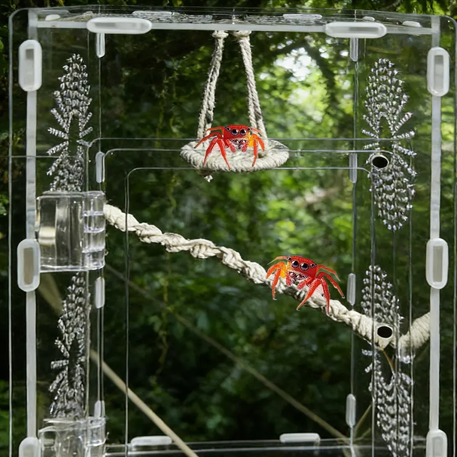 TaranTerra Large Tall acrylic enclosure showing its vertical profile and ventilation rows