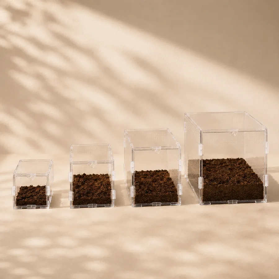 Four acrylic enclosures lined up by size, each holding the substrate depth its stage calls for