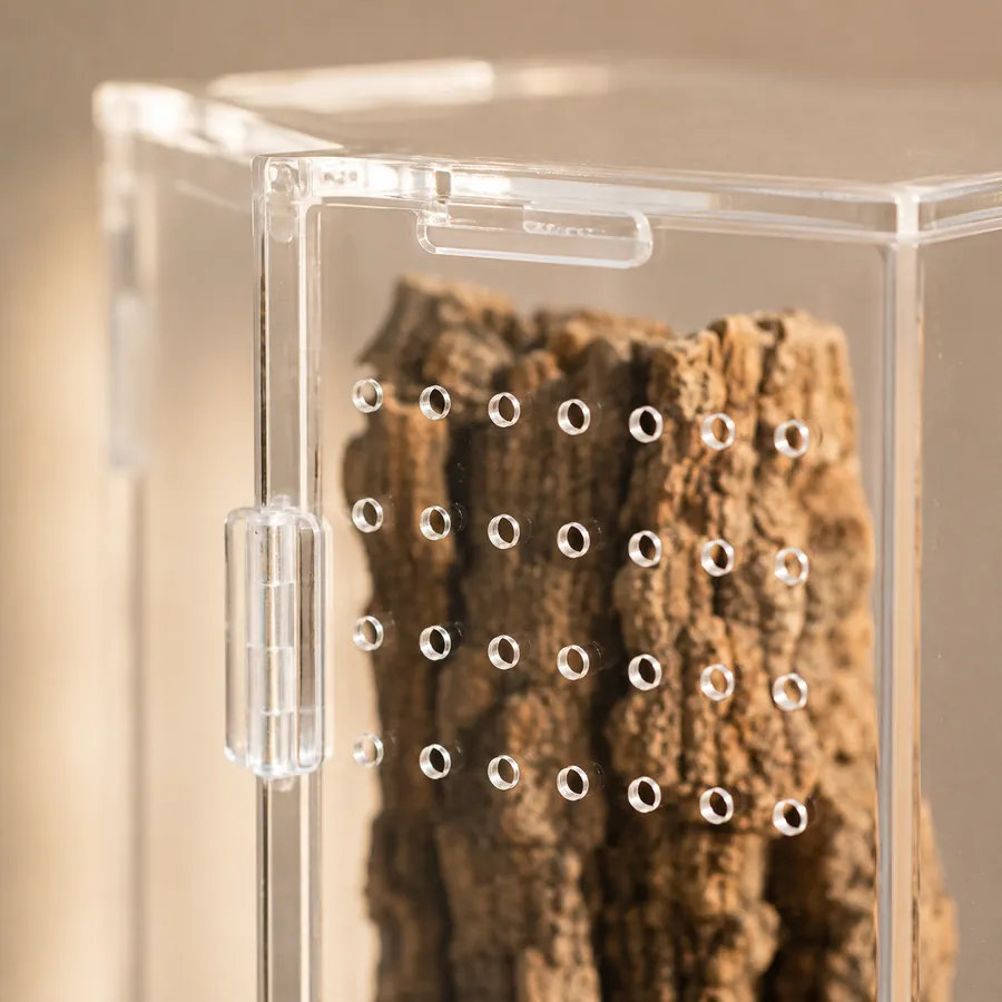 Vertical cork bark standing against the ventilated side panel of a tall acrylic enclosure