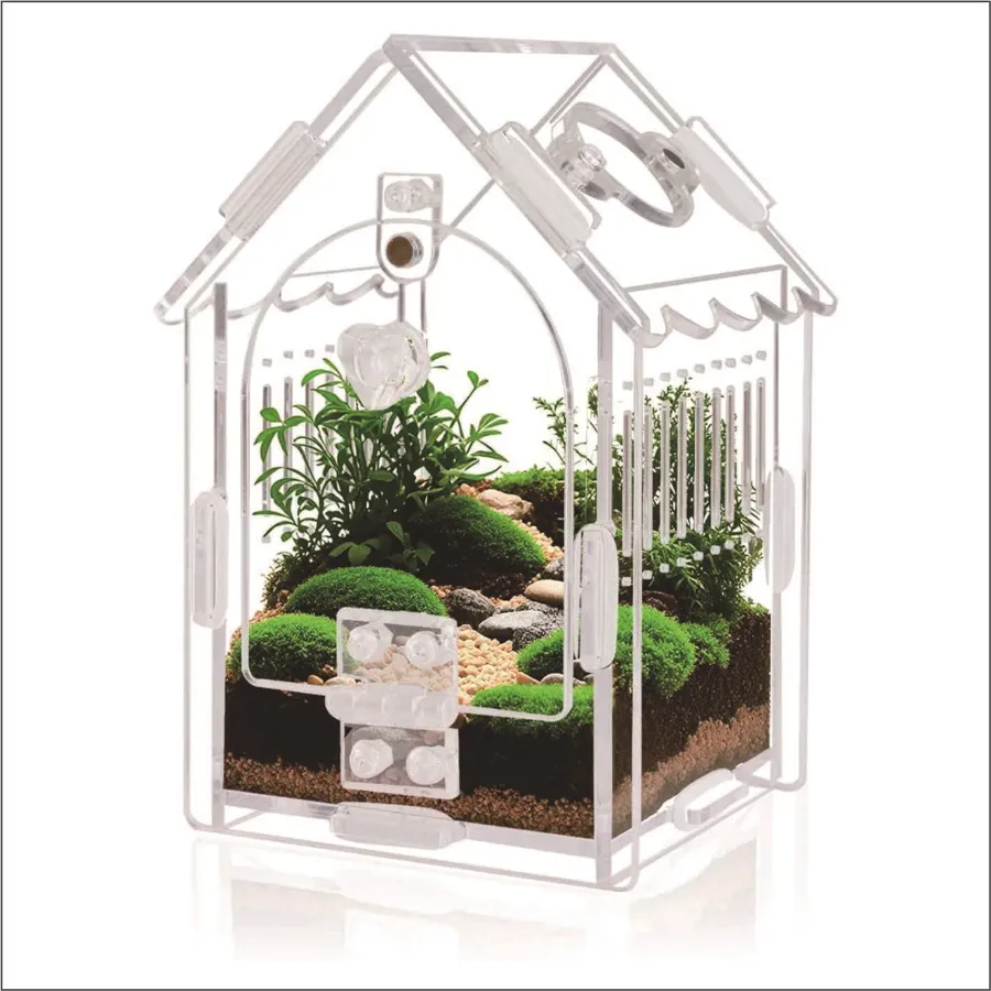 TaranTerra House sling enclosure with a small planted display setup