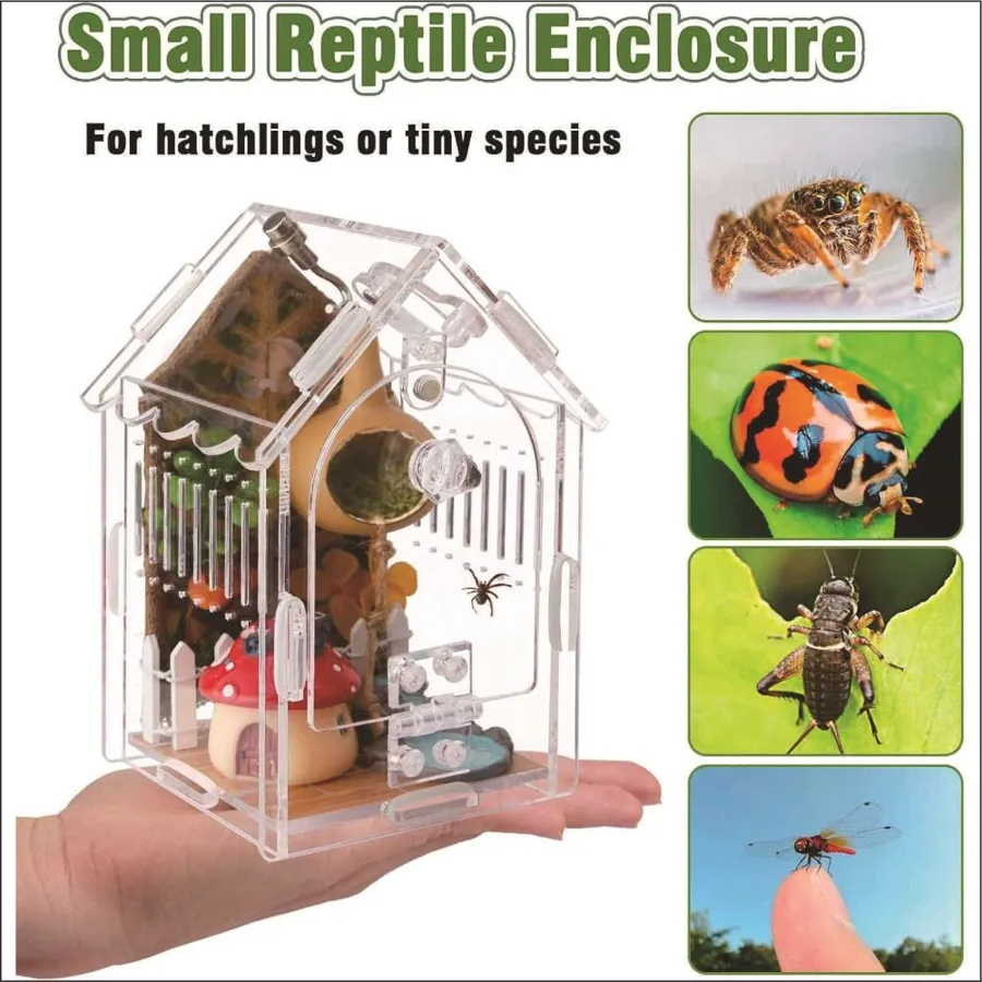 Infographic showing the TaranTerra House is intended for hatchlings or tiny species