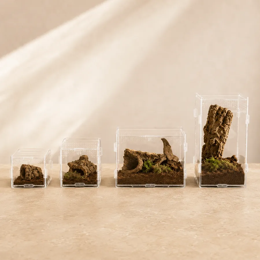 The TaranTerra enclosures lined up smallest to largest, the size progression a tarantula moves through from sling to adult