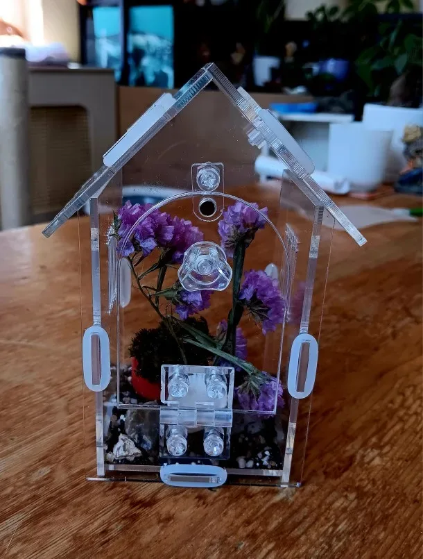 TaranTerra acrylic enclosure photographed by Noor V., a verified buyer